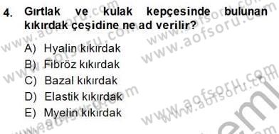 İnsan Anatomisi Ve Fizyolojisi Dersi 2014 - 2015 Yılı (Final) Dönem Sonu Sınav Soruları 4. Soru