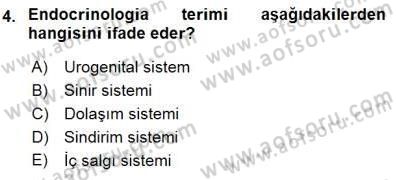 İnsan Anatomisi Ve Fizyolojisi Dersi 2015 - 2016 Yılı (Final) Dönem Sonu Sınav Soruları 4. Soru