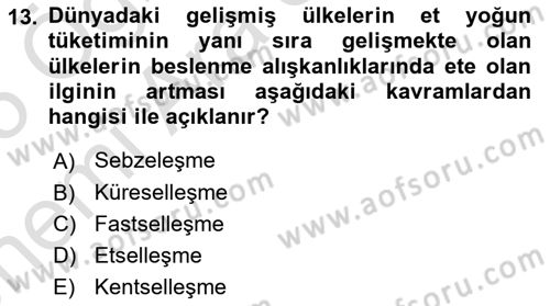 Yemek Sosyolojisi Dersi 2024 - 2025 Yılı (Vize) Ara Sınav Soruları 13. Soru