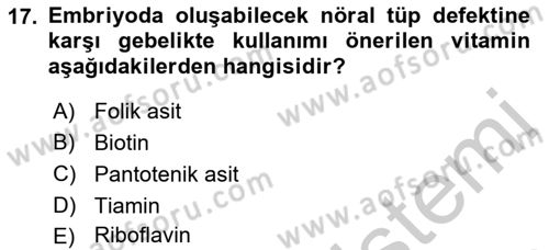 Beslenmenin Temel İlkeleri Dersi 2018 - 2019 Yılı Yaz Okulu Sınav Soruları 17. Soru