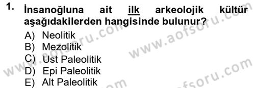 Anadolu Arkeolojisi Dersi 2012 - 2013 Yılı (Vize) Ara Sınav Soruları 1. Soru