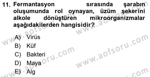 İçecek Bilgisi Dersi 2022 - 2023 Yılı (Final) Dönem Sonu Sınav Soruları 11. Soru