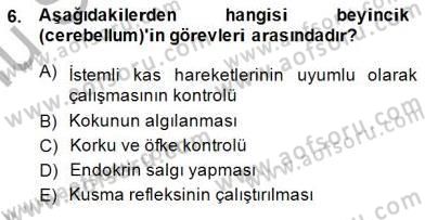 İnsan Anatomisi Ve Fizyolojisi Dersi 2014 - 2015 Yılı (Final) Dönem Sonu Sınav Soruları 6. Soru