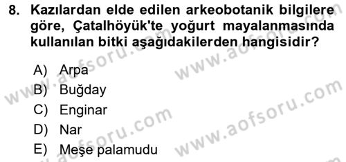 Gastronomi Tarihi Dersi 2024 - 2025 Yılı (Vize) Ara Sınav Soruları 8. Soru