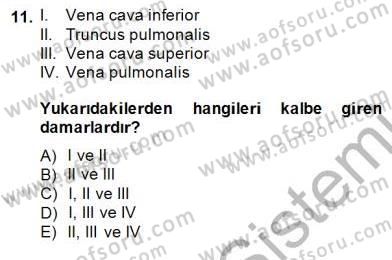 İnsan Anatomisi Ve Fizyolojisi Dersi 2014 - 2015 Yılı (Final) Dönem Sonu Sınav Soruları 11. Soru