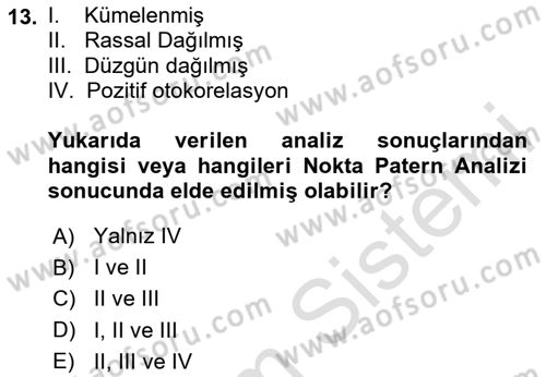 Veri Analizi Ve Değerlendirme Dersi 2024 - 2025 Yılı (Final) Dönem Sonu Sınav Soruları 13. Soru