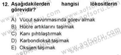 İnsan Anatomisi Ve Fizyolojisi Dersi 2012 - 2013 Yılı (Final) Dönem Sonu Sınav Soruları 12. Soru