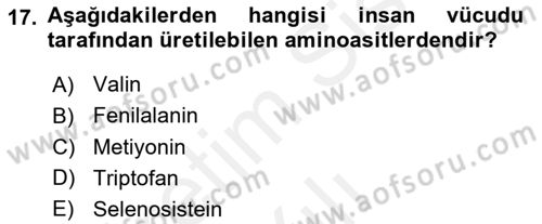 Beslenmenin Temel İlkeleri Dersi 2018 - 2019 Yılı (Vize) Ara Sınav Soruları 17. Soru