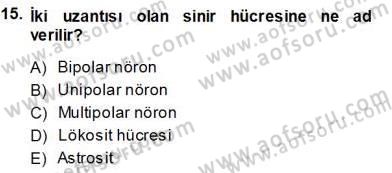 İnsan Anatomisi Ve Fizyolojisi Dersi 2013 - 2014 Yılı (Vize) Ara Sınav Soruları 15. Soru