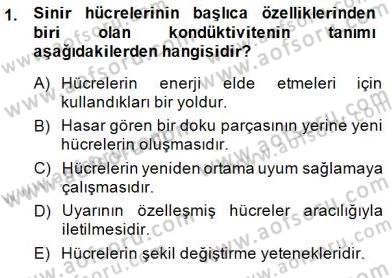 İnsan Anatomisi Ve Fizyolojisi Dersi 2014 - 2015 Yılı (Final) Dönem Sonu Sınav Soruları 1. Soru
