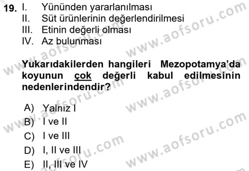 Gastronomi Tarihi Dersi 2018 - 2019 Yılı (Vize) Ara Sınav Soruları 19. Soru