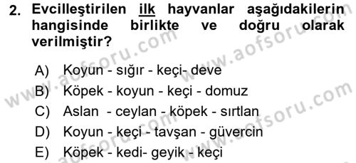 Gastronomi Tarihi Dersi 2017 - 2018 Yılı (Final) Dönem Sonu Sınav Soruları 2. Soru