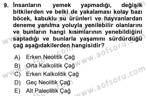 Gastronominin Temelleri Dersi 2021 - 2022 Yılı (Final) Dönem Sonu Sınav Soruları 9. Soru