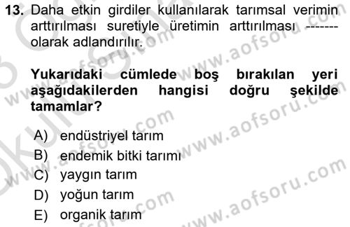 Yemek Sosyolojisi Dersi 2022 - 2023 Yılı Yaz Okulu Sınav Soruları 13. Soru