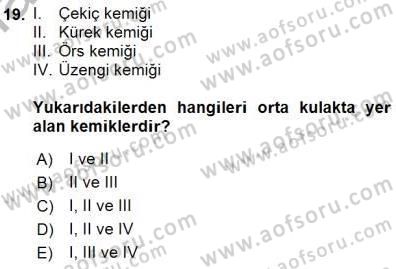İnsan Anatomisi Ve Fizyolojisi Dersi 2015 - 2016 Yılı (Final) Dönem Sonu Sınav Soruları 19. Soru