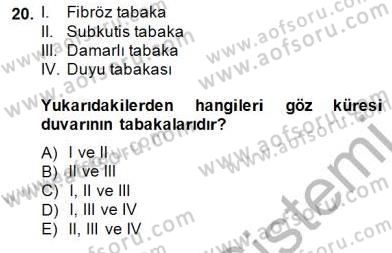İnsan Anatomisi Ve Fizyolojisi Dersi 2014 - 2015 Yılı (Vize) Ara Sınav Soruları 20. Soru