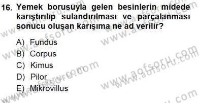 İnsan Anatomisi Ve Fizyolojisi Dersi 2012 - 2013 Yılı (Final) Dönem Sonu Sınav Soruları 16. Soru
