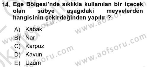 Yöresel Mutfaklar Dersi 2021 - 2022 Yılı Yaz Okulu Sınav Soruları 14. Soru