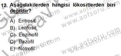 İnsan Anatomisi Ve Fizyolojisi Dersi 2014 - 2015 Yılı (Final) Dönem Sonu Sınav Soruları 12. Soru