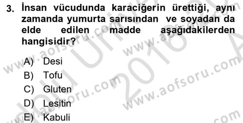 Gıda Coğrafyası Dersi 2016 - 2017 Yılı (Vize) Ara Sınav Soruları 3. Soru