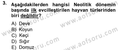 Anadolu Arkeolojisi Dersi 2014 - 2015 Yılı (Vize) Ara Sınav Soruları 3. Soru