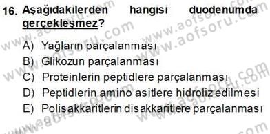 İnsan Anatomisi Ve Fizyolojisi Dersi 2013 - 2014 Yılı (Final) Dönem Sonu Sınav Soruları 16. Soru