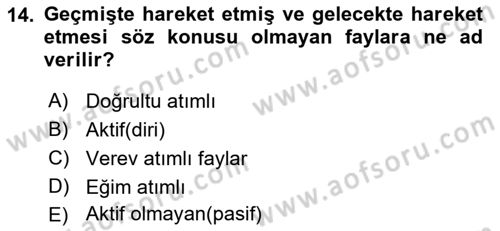 Afet Risk Azaltma Politikaları Dersi 2018 - 2019 Yılı Yaz Okulu Sınav Soruları 14. Soru
