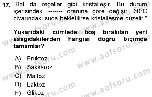 Beslenmenin Temel İlkeleri Dersi 2023 - 2024 Yılı Yaz Okulu Sınav Soruları 17. Soru