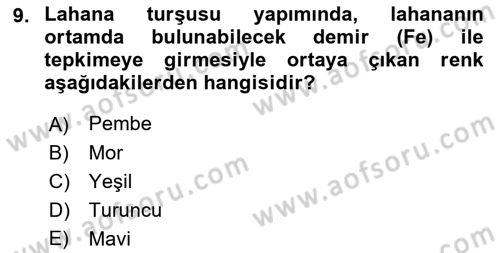 Temel Mutfak Teknikleri Dersi 2023 - 2024 Yılı (Vize) Ara Sınav Soruları 9. Soru