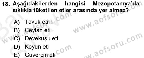 Gastronomi Tarihi Dersi 2015 - 2016 Yılı (Vize) Ara Sınav Soruları 18. Soru