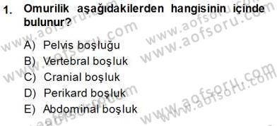 İnsan Anatomisi Ve Fizyolojisi Dersi 2013 - 2014 Yılı (Final) Dönem Sonu Sınav Soruları 1. Soru