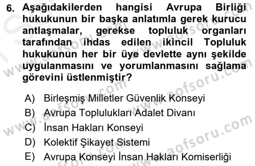İnsan Hakları Ve Kamu Özgürlükleri Dersi 2018 - 2019 Yılı (Final) Dönem Sonu Sınav Soruları 6. Soru
