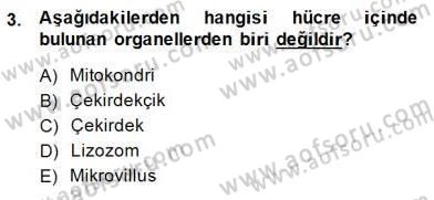 İnsan Anatomisi Ve Fizyolojisi Dersi 2014 - 2015 Yılı (Final) Dönem Sonu Sınav Soruları 3. Soru