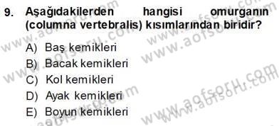 İnsan Anatomisi Ve Fizyolojisi Dersi 2013 - 2014 Yılı (Vize) Ara Sınav Soruları 9. Soru