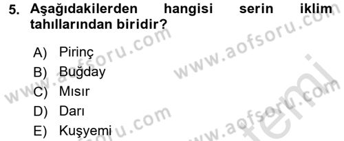 Gıda Coğrafyası Dersi 2017 - 2018 Yılı (Vize) Ara Sınav Soruları 5. Soru