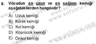 İnsan Anatomisi Ve Fizyolojisi Dersi 2013 - 2014 Yılı (Vize) Ara Sınav Soruları 8. Soru