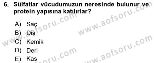 Beslenmenin Temel İlkeleri Dersi 2018 - 2019 Yılı 3 Ders Sınav Soruları 6. Soru