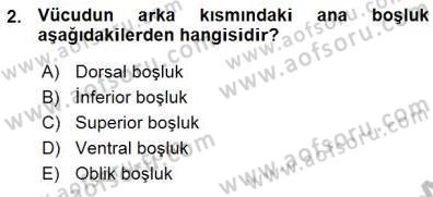 İnsan Anatomisi Ve Fizyolojisi Dersi 2015 - 2016 Yılı (Vize) Ara Sınav Soruları 2. Soru
