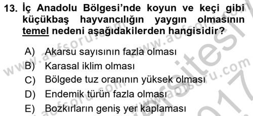 Yöresel Mutfaklar Dersi 2016 - 2017 Yılı (Vize) Ara Sınav Soruları 13. Soru