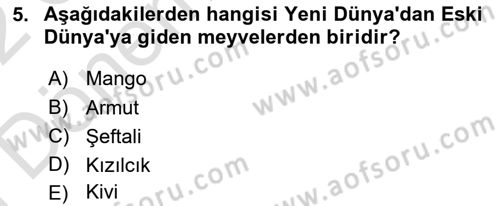 Gastronomi Tarihi Dersi 2021 - 2022 Yılı (Final) Dönem Sonu Sınav Soruları 5. Soru