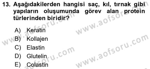 Beslenmenin Temel İlkeleri Dersi 2024 - 2025 Yılı (Vize) Ara Sınav Soruları 13. Soru