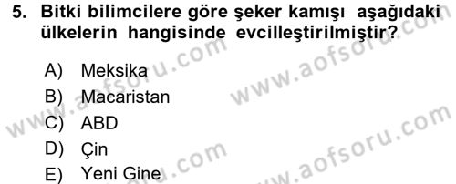 Gastronomi Tarihi Dersi 2017 - 2018 Yılı (Vize) Ara Sınav Soruları 5. Soru