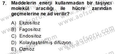 İnsan Anatomisi Ve Fizyolojisi Dersi 2013 - 2014 Yılı (Vize) Ara Sınav Soruları 7. Soru