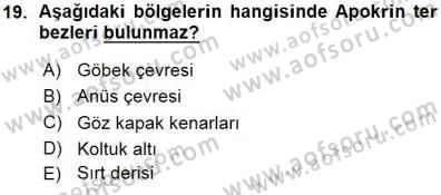 İnsan Anatomisi Ve Fizyolojisi Dersi 2015 - 2016 Yılı (Vize) Ara Sınav Soruları 19. Soru
