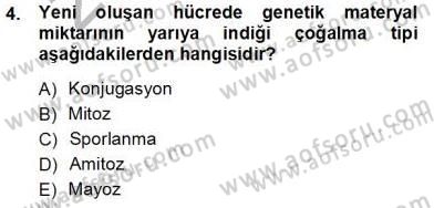 İnsan Anatomisi Ve Fizyolojisi Dersi 2012 - 2013 Yılı (Vize) Ara Sınav Soruları 4. Soru