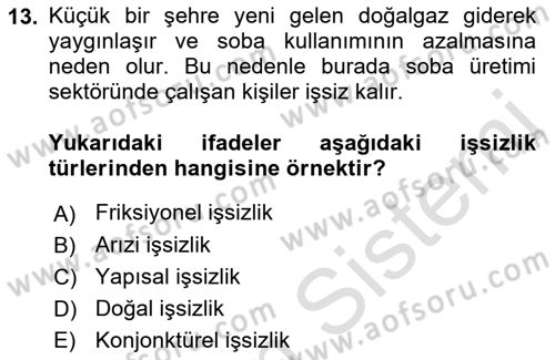Afet Ekonomisi Ve Sigortacılığı Dersi 2021 - 2022 Yılı (Vize) Ara Sınav Soruları 13. Soru