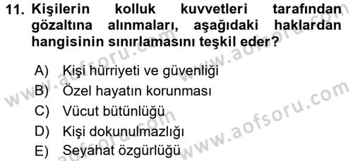 İnsan Hakları Ve Kamu Özgürlükleri Dersi 2015 - 2016 Yılı (Vize) Ara Sınav Soruları 11. Soru