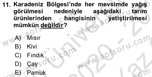 Yöresel Mutfaklar Dersi 2020 - 2021 Yılı Yaz Okulu Sınav Soruları 11. Soru