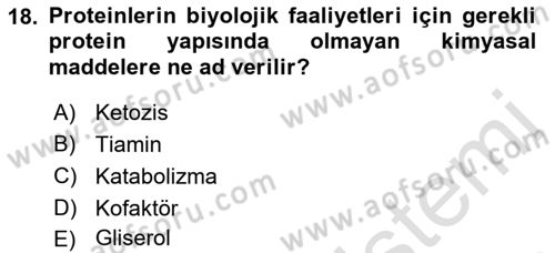 Beslenmenin Temel İlkeleri Dersi 2022 - 2023 Yılı Yaz Okulu Sınav Soruları 18. Soru