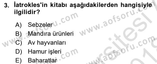 Gastronomi Ve Medya Dersi 2017 - 2018 Yılı (Vize) Ara Sınav Soruları 3. Soru
